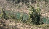 Randonnée Marche Puéchabon - bois des fontanilles et gorges de l'Hérault  - Photo 6