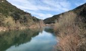 Tour Wandern Puéchabon - bois des fontanilles et gorges de l'Hérault  - Photo 2