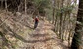 Randonnée Vélo électrique Saint-Romain-de-Popey - matagrin du 19 mars - Photo 6
