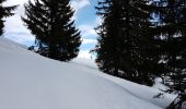 Randonnée Raquettes à neige Manigod - croix de colonban croix de fry - Photo 7