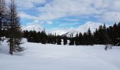 Trail Snowshoes Manigod - croix de colonban croix de fry - Photo 5