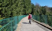 Trail Walking Deux-Grosnes - Reco G1 col de Crie - Photo 10
