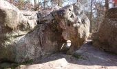 Trail Walking Fontainebleau - 180321 EnCours - Photo 6