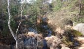 Trail Walking Fontainebleau - 180321 EnCours - Photo 3