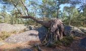 Trail Walking Fontainebleau - SVG 180321 - Photo 4