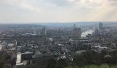 Randonnée Autre activité Liège - balade des terrils liégeois  - Photo 4
