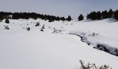 Trail Snowshoes Font-Romeu-Odeillo-Via - Font Romeu parking Mollera del Clos pic dels Moros - Photo 12