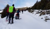 Trail Snowshoes Font-Romeu-Odeillo-Via - Font Romeu parking Mollera del Clos pic dels Moros - Photo 16