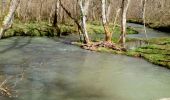 Excursión Otra actividad Bordères-sur-l'Échez - Esgoute-Plouyes - Photo 1