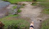 Tocht Andere activiteiten Bordères-sur-l'Échez - Esgoute-Plouyes - Photo 6