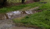 Tocht Andere activiteiten Bordères-sur-l'Échez - Esgoute-Plouyes - Photo 8