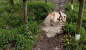 Tocht Andere activiteiten Bordères-sur-l'Échez - Esgoute-Plouyes - Photo 9