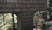 Trail Walking Senones - roche de la mère henry - Photo 19