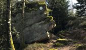 Tour Wandern Senones - roche de la mère henry - Photo 14