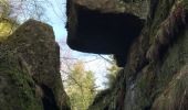 Trail Walking Senones - roche de la mère henry - Photo 9