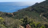 Trail Walking Théoule-sur-Mer - l'esterel - Photo 3