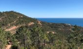 Tocht Stappen Théoule-sur-Mer - l'esterel - Photo 1