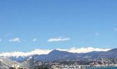 Trail Walking Cagnes-sur-Mer - Cagnes - Antibes - Photo 1