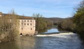 Tour Wandern Montricoux - boucle Montricoux Bruniquel - Photo 1