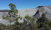 Tour Wandern Saint-Raphaël - Peïre Sarade aux Ruines Ferrières et au Menhir - Photo 2