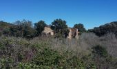 Tour Wandern Saint-Raphaël - Peïre Sarade aux Ruines Ferrières et au Menhir - Photo 5