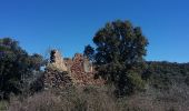 Tour Wandern Saint-Raphaël - Peïre Sarade aux Ruines Ferrières et au Menhir - Photo 7