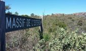 Tour Wandern Saint-Raphaël - Peïre Sarade aux Ruines Ferrières et au Menhir - Photo 10