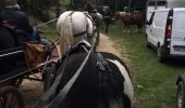Tocht Paard Orgon - Les Alpilles de provence  - Photo 8