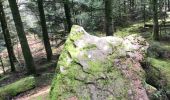 Trail Walking Étival-Clairefontaine - pierre d appel  - Photo 10