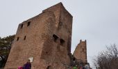 Percorso Marcia Wintzenheim - Autour des châteaux de Pflixbourg, Hohlandsbourg et Eguisheim - Photo 1