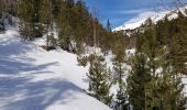 Trail Snowshoes Les Angles - Les Angles la Serra via lac de Balmète puis la cabane de la Balète et l.Estany de la Llosa A-R - Photo 12