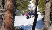 Trail Snowshoes Les Angles - Les Angles la Serra via lac de Balmète puis la cabane de la Balète et l.Estany de la Llosa A-R - Photo 2