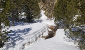 Trail Snowshoes Les Angles - Les Angles la Serra via lac de Balmète puis la cabane de la Balète et l.Estany de la Llosa A-R - Photo 3