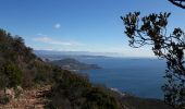 Trail Walking Saint-Raphaël - Pic du Cap Roux - Photo 1