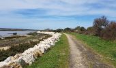 Tour Wandern Les Portes-en-Ré - rando trousse chemise - Photo 4