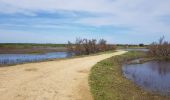 Tour Wandern Les Portes-en-Ré - rando trousse chemise - Photo 3