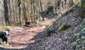 Excursión Senderismo Hamoir - naar volgende dorp en route terug - Photo 3