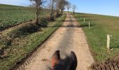 Tocht Paard Léglise - Traimont - La Potence - Photo 12