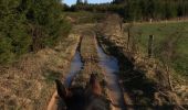 Randonnée Cheval Léglise - Traimont - La Potence - Photo 6