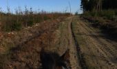 Trail Equestrian Léglise - Traimont - La Potence - Photo 4