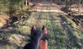 Tocht Paard Léglise - Traimont - La Potence - Photo 2