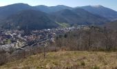 Tour Wandern Thann - Sur les hauteurs de Thann - Photo 1