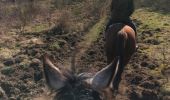 Percorso Cavallo Léglise - Traimont Narcimont  - Photo 10