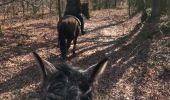 Percorso Cavallo Léglise - Traimont Narcimont  - Photo 8