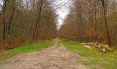 Trail Walking Saint-Jean-aux-Bois - en forêt de Compiègne_12_le Grand Octogone - Photo 6