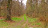 Trail Walking Saint-Jean-aux-Bois - en forêt de Compiègne_12_le Grand Octogone - Photo 5