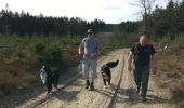 Trail Equestrian Léglise - Traimont Avenière - Photo 16