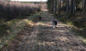 Excursión Caballo Léglise - Traimont Avenière - Photo 15