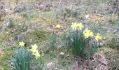 Percorso Cavallo Léglise - Traimont Avenière - Photo 13