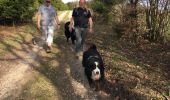 Excursión Caballo Léglise - Traimont Avenière - Photo 11